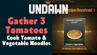 Cook Tomato and Vegetable Noodles Undawn Gather Tomatoes