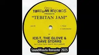 Ice-T, The Glove & Dave Storrs - Tibetan Jam (Instrumental | SoundWoozla Remaster 2025