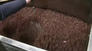 Coffee Beans Blended in Fluidizing Paddle Blender - American Process Systems®