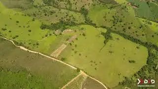 Fazenda Caixeta - Caixetas - 128ha - D&D Neg&oacute;cios Imobili&aacute;rios