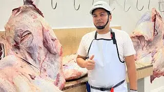 Deboning of a Beef Forequarter