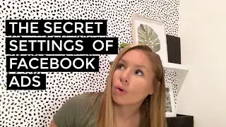 The Secret Settings to Facebook & Instagram Ads