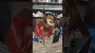 #animation #мем #memes #meme #мемы #юмор #анимация #рекомендации #реки #рек #обзор