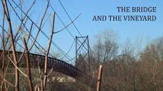 The Bridge and the Vineyard