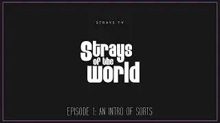 StraysTV Episode 1: Intro to Strays of the World