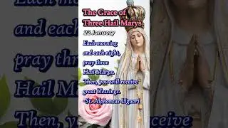 Three Hail Marys | Miracle Prayers for Mercy, Healing, Peace | 22 January