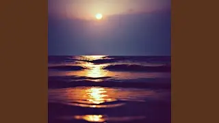 Sea the Light
