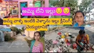 ఆడవారు లేని సంసారం || అమ్మ లేదు కదా సంక్రాంతికి ఇల్లు క్లీనింగ్ చెయ్యటానికి వెళ్ళాను. 