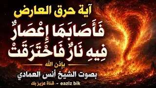 رقية الاية (فَأَصَابَهَآ إِعۡصَارٞ فِيهِ نَارٞ فَٱحۡتَرَقَتۡۗ) بصوت الشيخ انس العمادي