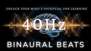 40Hz Gamma Brainwaves | Unlock Your Mind&rsquo;s Potential for Learning