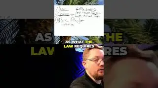 Keep Your License: Essential Steps You Must Take Now