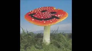 Nathan Melja & Fl&oslash;rist - Wonderland (Nathan Melja Version) [PARODIA01]