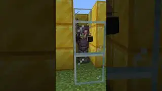 netherite armor zombie piglin vs me?