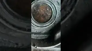 polo main seal
