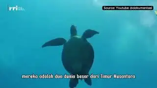 Aru & Kei: Kepulauan Kecil dengan Kebudayaan Besar di Timur Nusantara