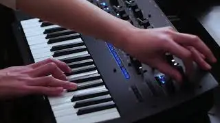 Ghostradioshow - Amberfield [KORG minilogue xd]