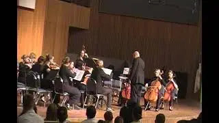17. Finale Allegro vivace Dvorak Sr