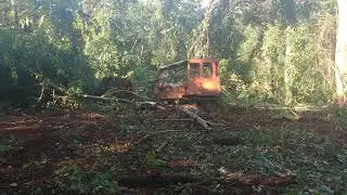 Fd9 ipurando