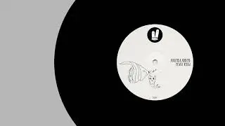 Augend & Addend  - The Future (Original Mix) Smiley Fingers