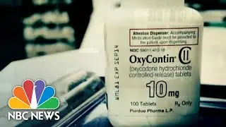 Sackler Family Grilled By Congress On Purdue Pharma&rsquo;s Role In Opioid Crisis | NBC Nightly News
