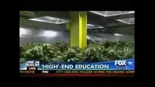 Princeton Of Pot    The World's First Marijuana University