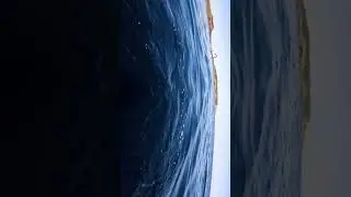 sustainable fishing | selective catch |  spearfishing in goa