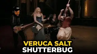 🎵 Veruca Salt - Shutterbug REACTION