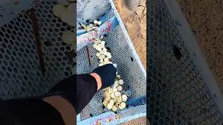 You Won&rsquo;t Believe What We Found on This Beach Cleanup!
