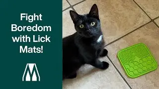 Encourage Slow Feeding & Fight Boredom (The Easy Way!) With Masterclip Lick Mats for Cats