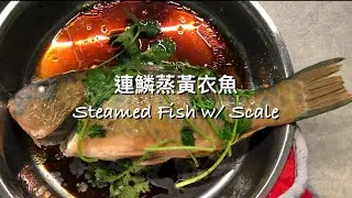 連鱗蒸黃衣魚| Steamed Fish w/ Scale