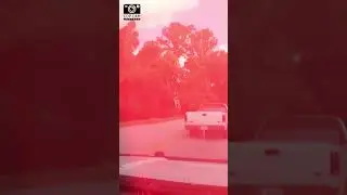 K9 Unit vs. Stolen Car - High-Speed Chase! #K9Unit #PoliceChase #StolenTruck #Stolen Car