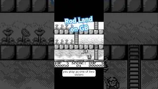 Review 21: Rod Land on GB #gameboy #retrogaming #nostalgia #arcade