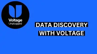 Data Discovery and the Voltage Solution