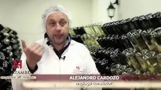 Conheça a Guatambu Estância do Vinho