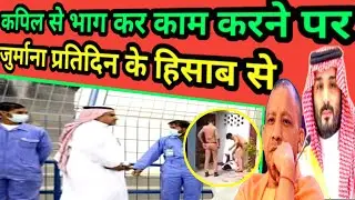 labour news update| लेबर के लिए बड़ी वार्निंग #labourlaw #kuwait #mpkhanvlog #viralvideo