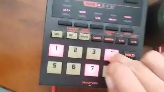 Sp-202 Sketches & Flexes 120
