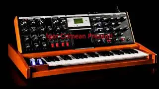 Minimoog Sound Igor Crimean Present Solo 727 4 Short 1
