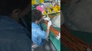 Connector Assembly in Wiring Harness Manufacturing