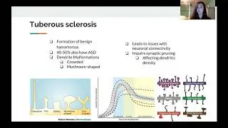 Biochem 424 Spring 2020: Investigating TSC as a Risk Factor for Autism
