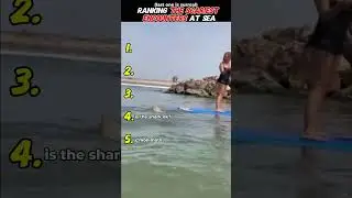 5 Terrifying Ocean Encounters Caught on Camera