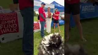 Boston 25 Zip Trip to Gloucester, MA! 👑🐥🩵 #chickensaspets
