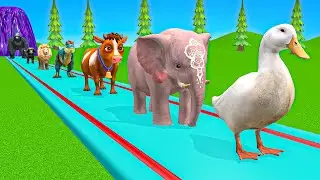 New Long Slide Game With Cow Elephant Gorilla Hippopotamus Tiger 3d Animal Game Funny 3d Animals