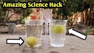 Experiment with Lemon | Nimbu ko pani m dubo diya | experiment by Pure EBU | Water vs Lemon Water