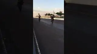 Puxo corto raspo