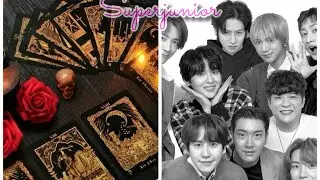 Tarot reading for Superjunior