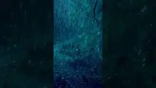 Perfect rain for a deep sleep 🌧️ #shorts #rainsounds #deepsleep #relaxation