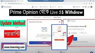 আপডেট নিয়ম এ কাজ করলে Prime Opinion Hold হবে Live 5$ Withrow Proved 2024 | Prime Opinion| IT Earning