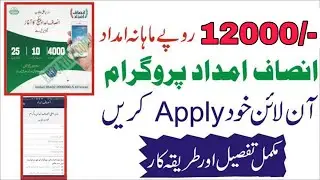 How To Collect Payment of Insaf imdad | insaf imdad cash payment collect process | 100% Working