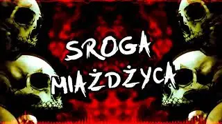 VIXA PIXA SŁUCHAJ MIXA #15 [SROGA MIAŻDŻYCA] ☠️🔥