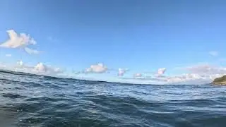Speed
